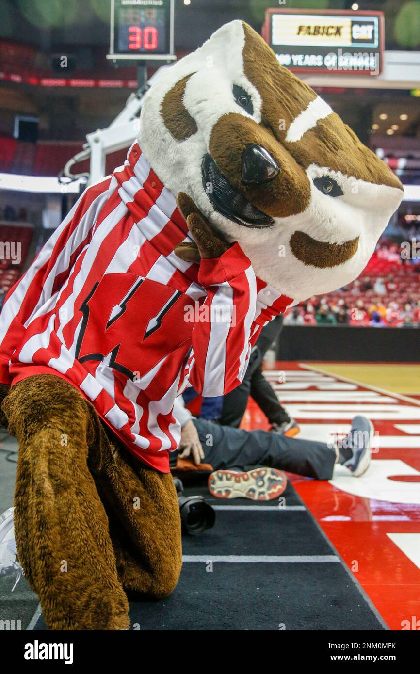 MADISON, WI - JANUARY 21: Wisconsin mascot Bucky Badger poses on the sidelines during a women's college basketball game between the University of Wisconsin Badgers and the Penn State University Lady Lions on January 23, 2022 at the Kohl Center in Madison, WI. (Photo by Lawrence Iles/Icon Sportswire) (Icon Sportswire via AP Images) Banque D'Images