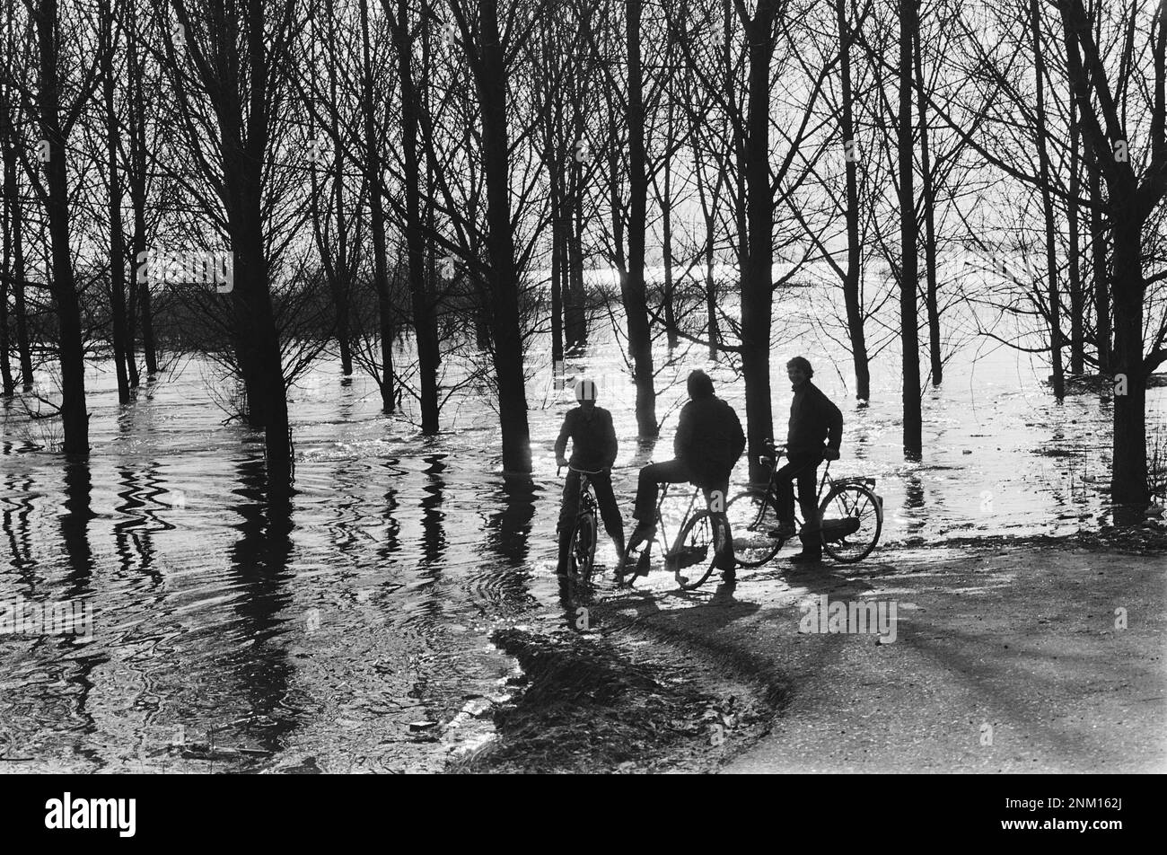 Pays-Bas Histoire: Adolescents sur des bicyclettes regardant les eaux d'inondation aux pays-Bas ca. 9 février 1980 Banque D'Images