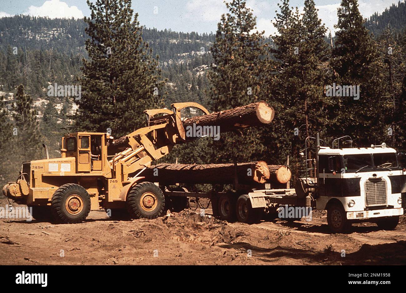 1970s États-Unis: Bûcherons chargeant des grumes dans une forêt californienne au début de 1970s - Sierra National Forest ca. 1972 Banque D'Images
