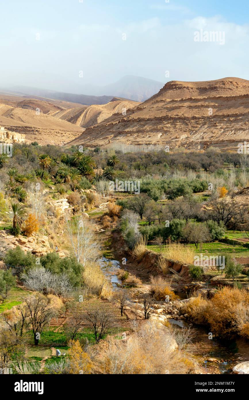 Afrika, Marokko, Südmarokko, Tamdakhte, Kasbah du Glaoui de Tamdakhte Banque D'Images