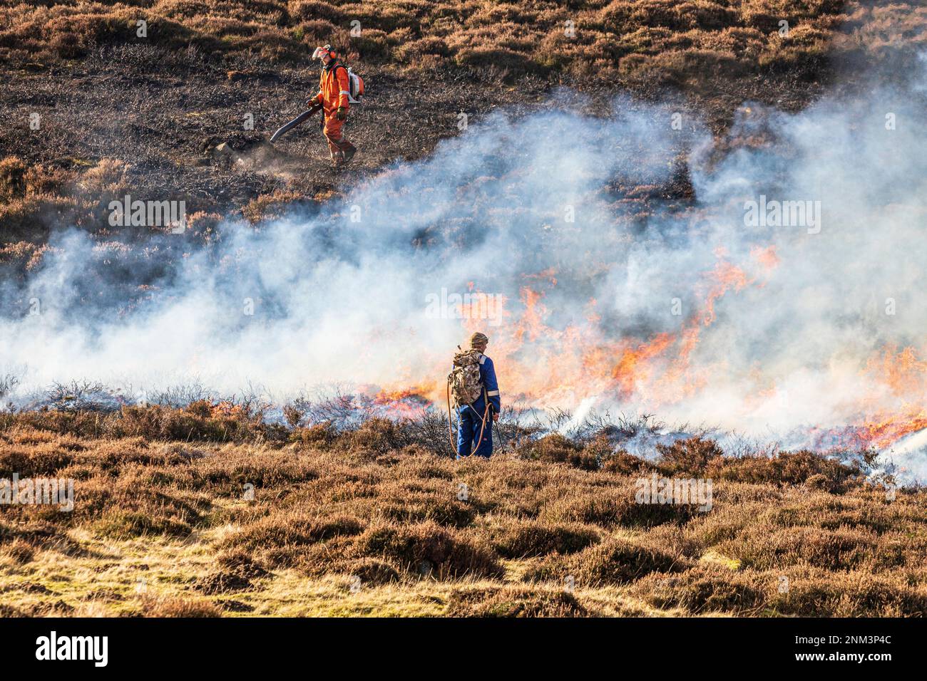 La combustion contrôlée de landes de bruyères (marécages ou muirburn) sur les pentes de Sgor Mor au sud de Braemar, Aberdeenshire, Écosse Royaume-Uni Banque D'Images