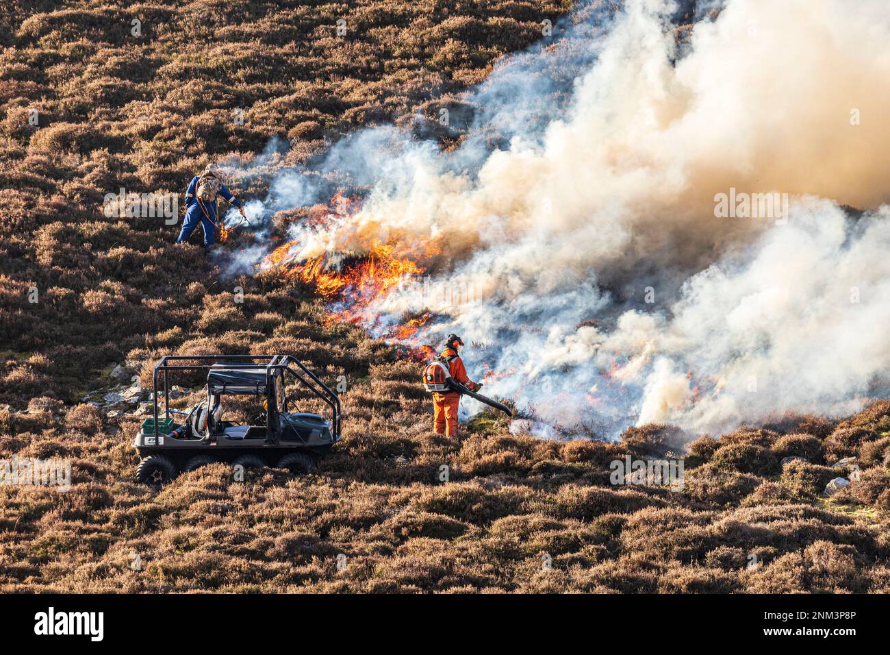 La combustion contrôlée de landes de bruyères (marécages ou muirburn) sur les pentes de Sgor Mor au sud de Braemar, Aberdeenshire, Écosse Royaume-Uni Banque D'Images