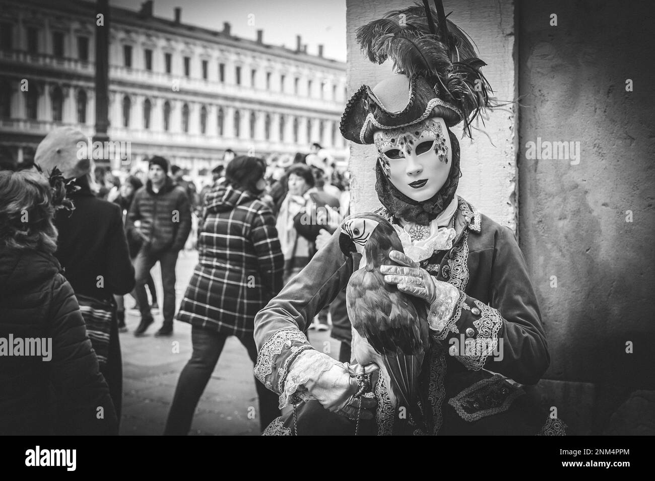 Portrait noir et blanc de la femme masquée de carnaval à Venise avec un perroquet Banque D'Images