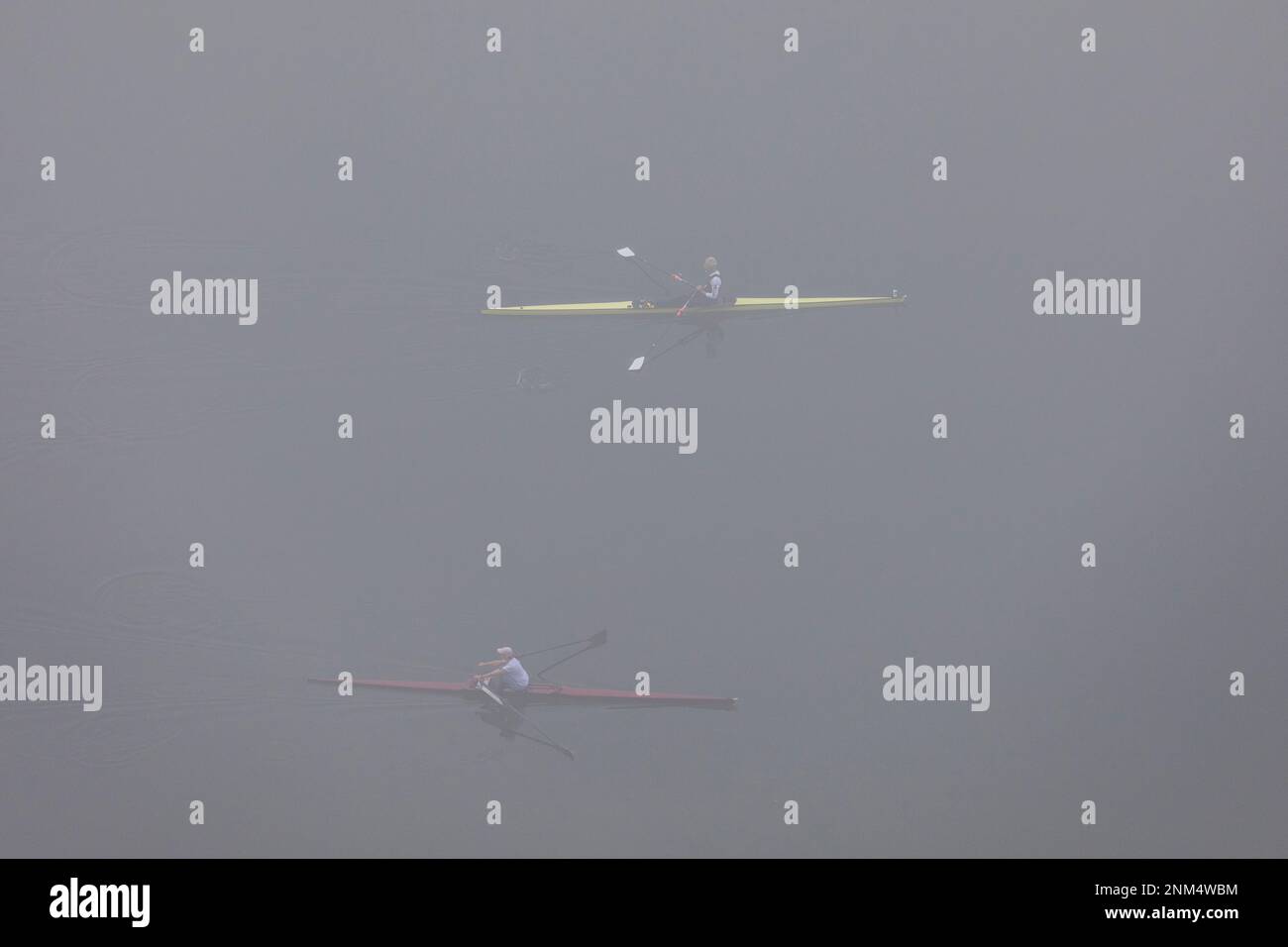 Deux sculpts uniques dans le brouillard sur le lac Ladybird, Austin, Texas Banque D'Images