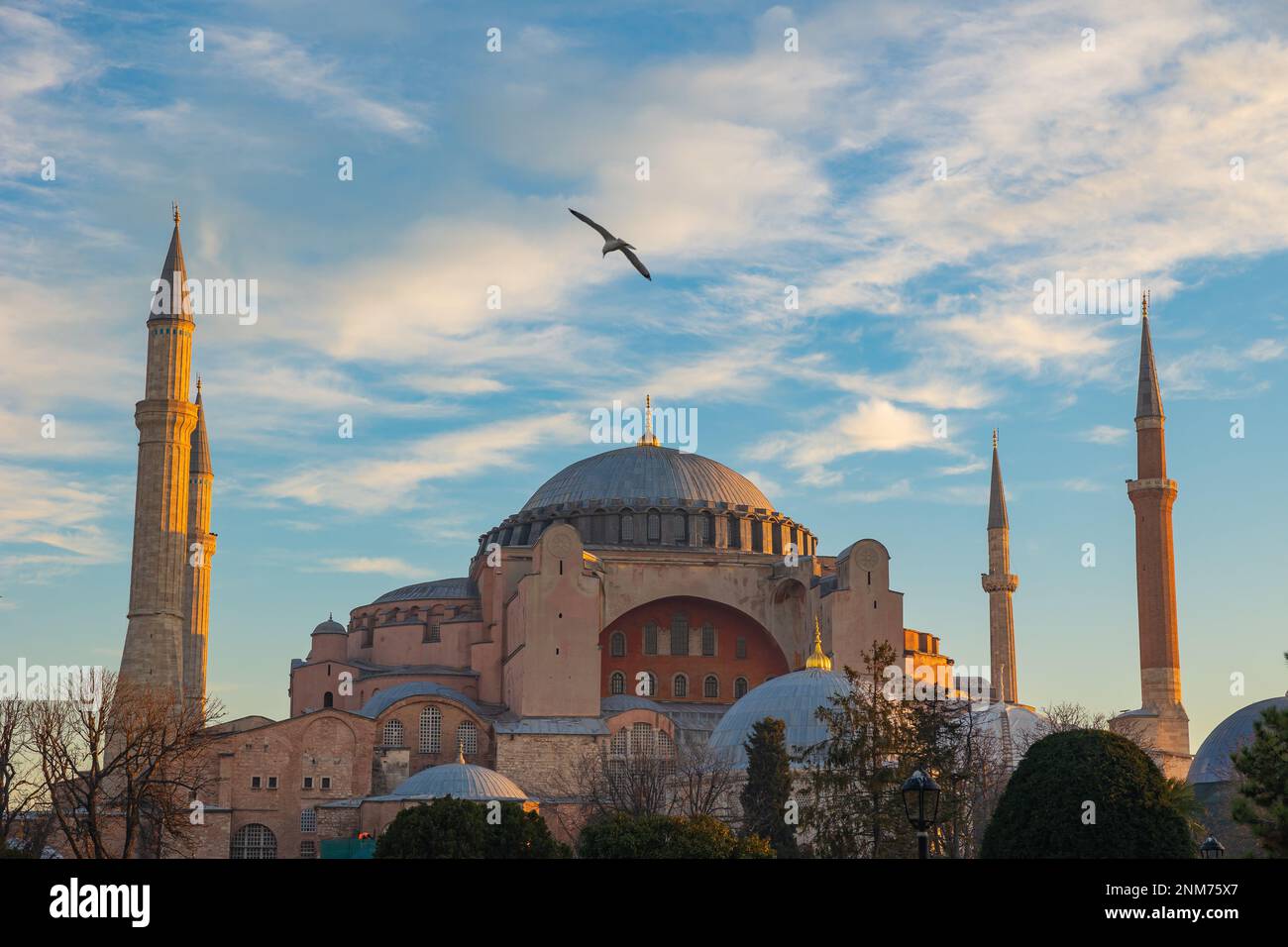 Basilique Sainte-Sophie ou mosquée Ayasofya avec un mouette au lever du soleil. Voyage à Istanbul photo de fond. Ramadan ou photo de concept islamique. Banque D'Images