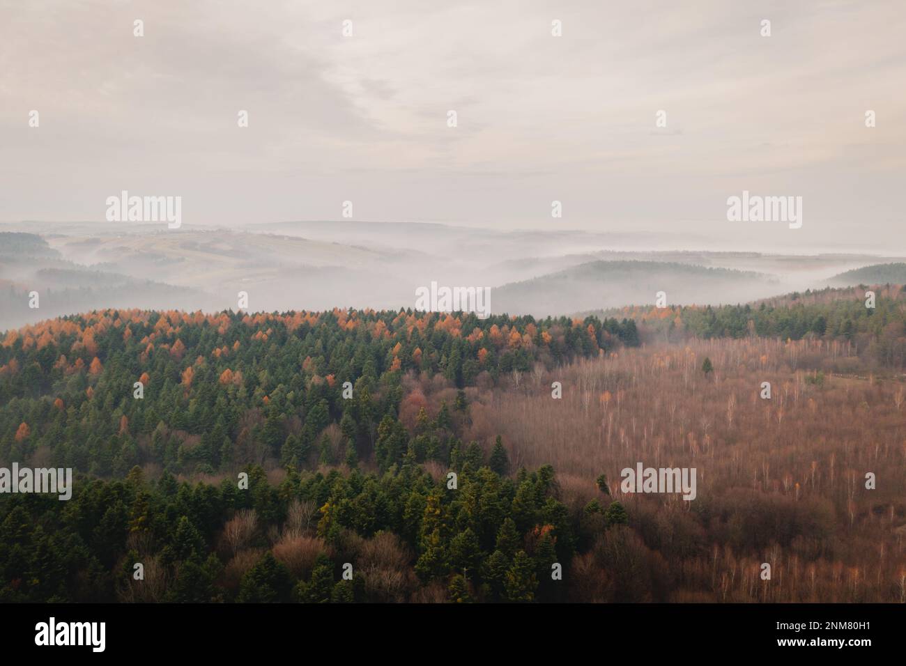 Vue aérienne du paysage brumeux de l'automne dans le parc national d'Ojcow, sentier des nids des aigles. Banque D'Images