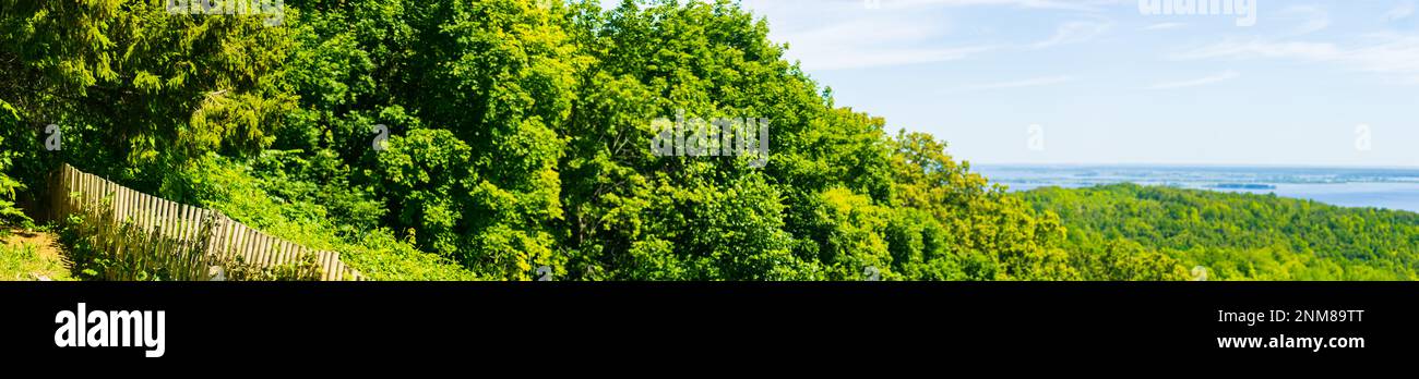 Depuis le haut d'une colline, cette photo de paysage captivante présente la vue imprenable sur la rivière sinueuse et la végétation luxuriante de la forêt Banque D'Images