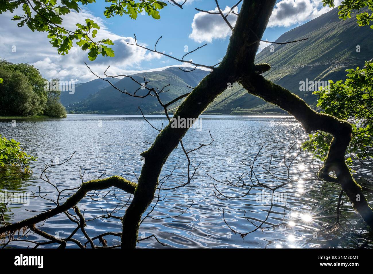 Tal-y-Llyn Lake, Gwynedd, Galles Banque D'Images