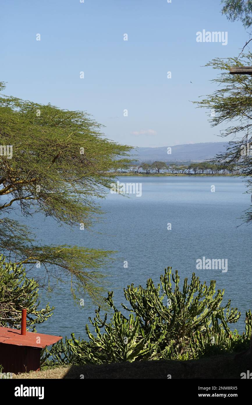 Vue depuis l'île Crescent au lac Naivasha, Kenya Banque D'Images