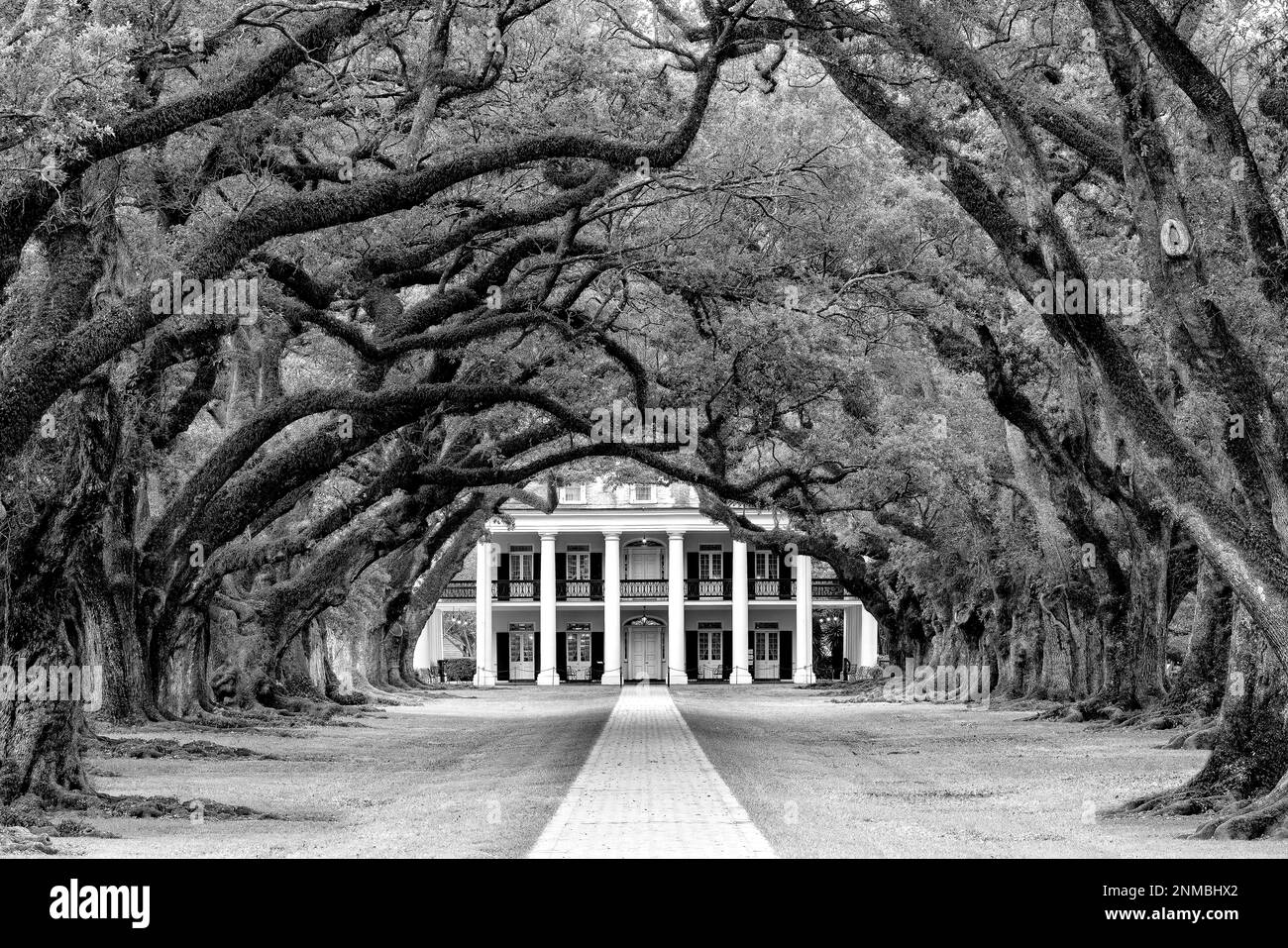 Oak Alley Historic Plantation, Vacherie, St. James Parish, la Nouvelle-Orléans, Louisiane États-Unis, États-Unis Banque D'Images