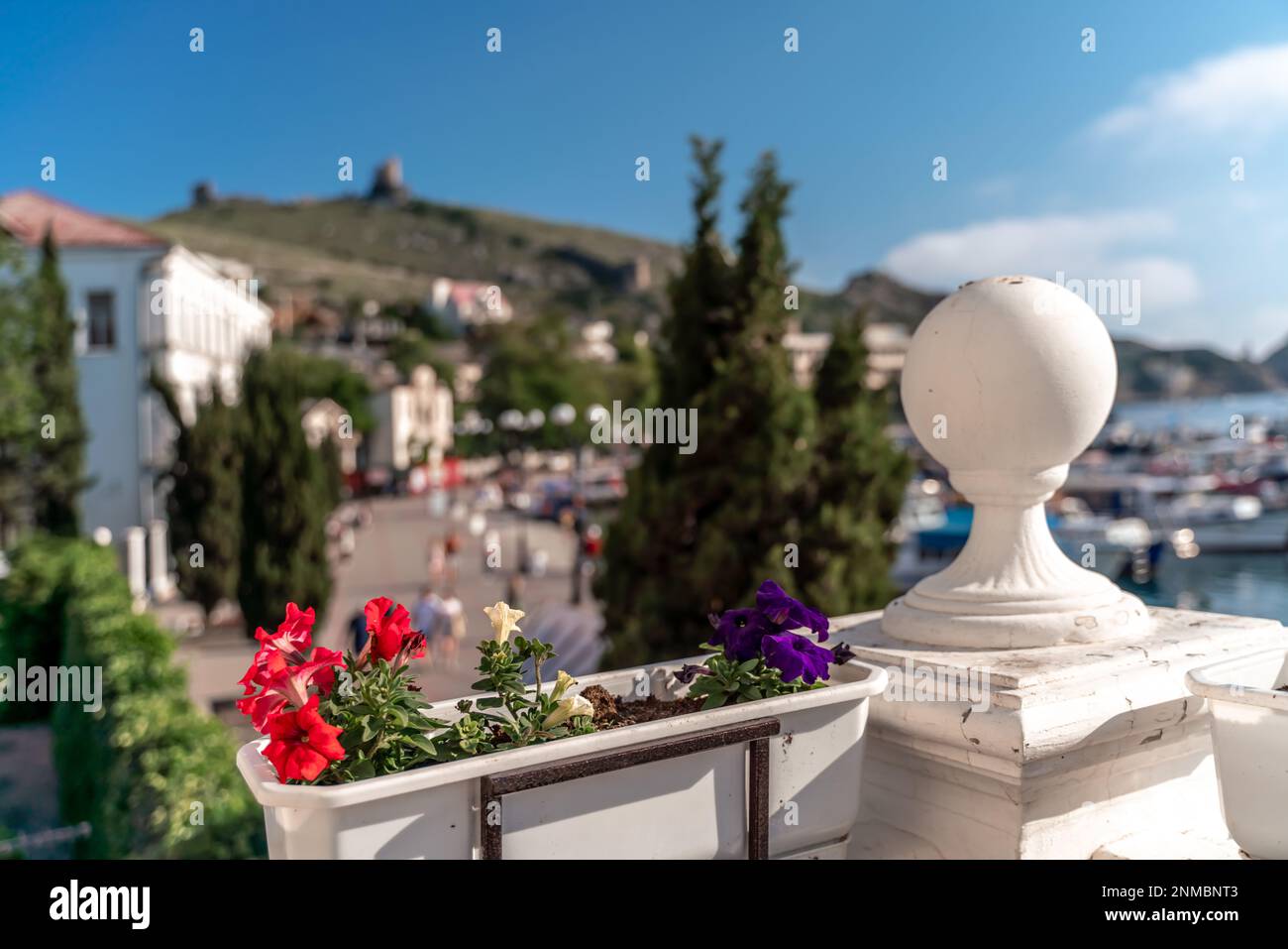 Une belle vue à travers les fleurs lumineuses de pétunias à la baie de mer avec des yachts. Mer turquoise sur fond de montagnes et bleu clair Banque D'Images