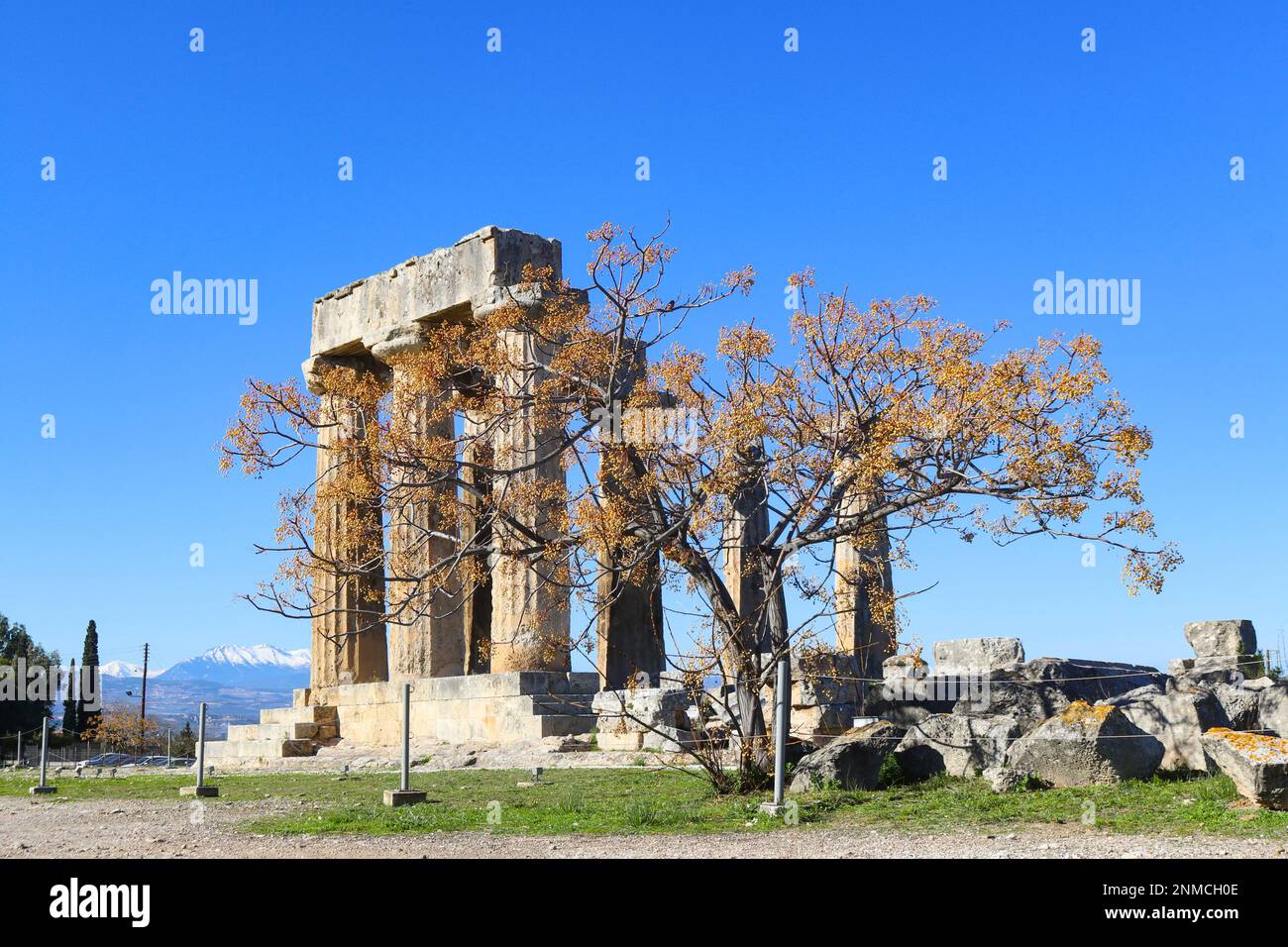 Les colonnes restantes du Temple d'Apollon à l'ancienne Corinthe Grèce avec arbre en premier plan et des montagnes enneigées au loin Banque D'Images