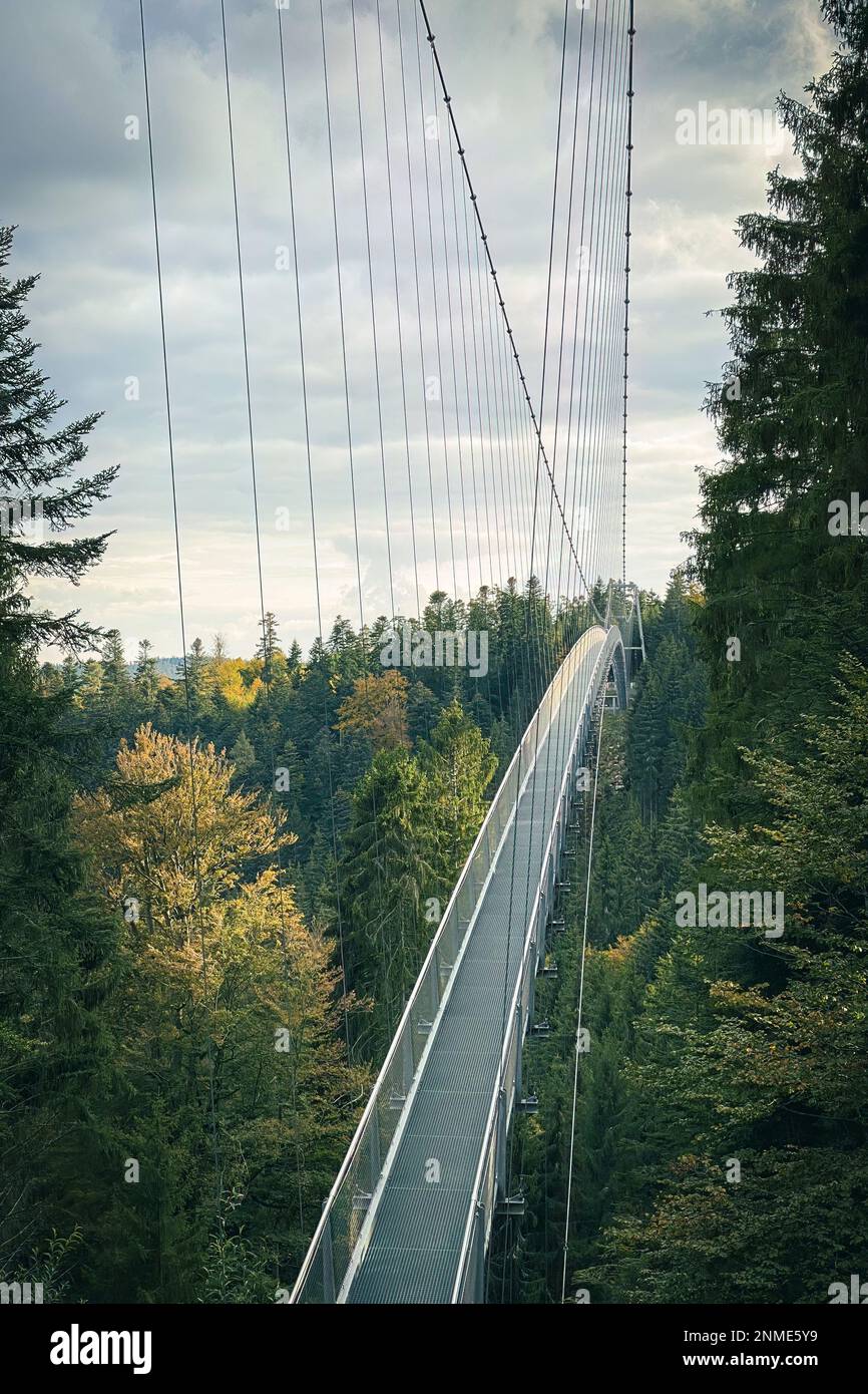 Bad Wildbad, Allemagne - 13 octobre 2020: Pont suspendu Wildline Banque D'Images