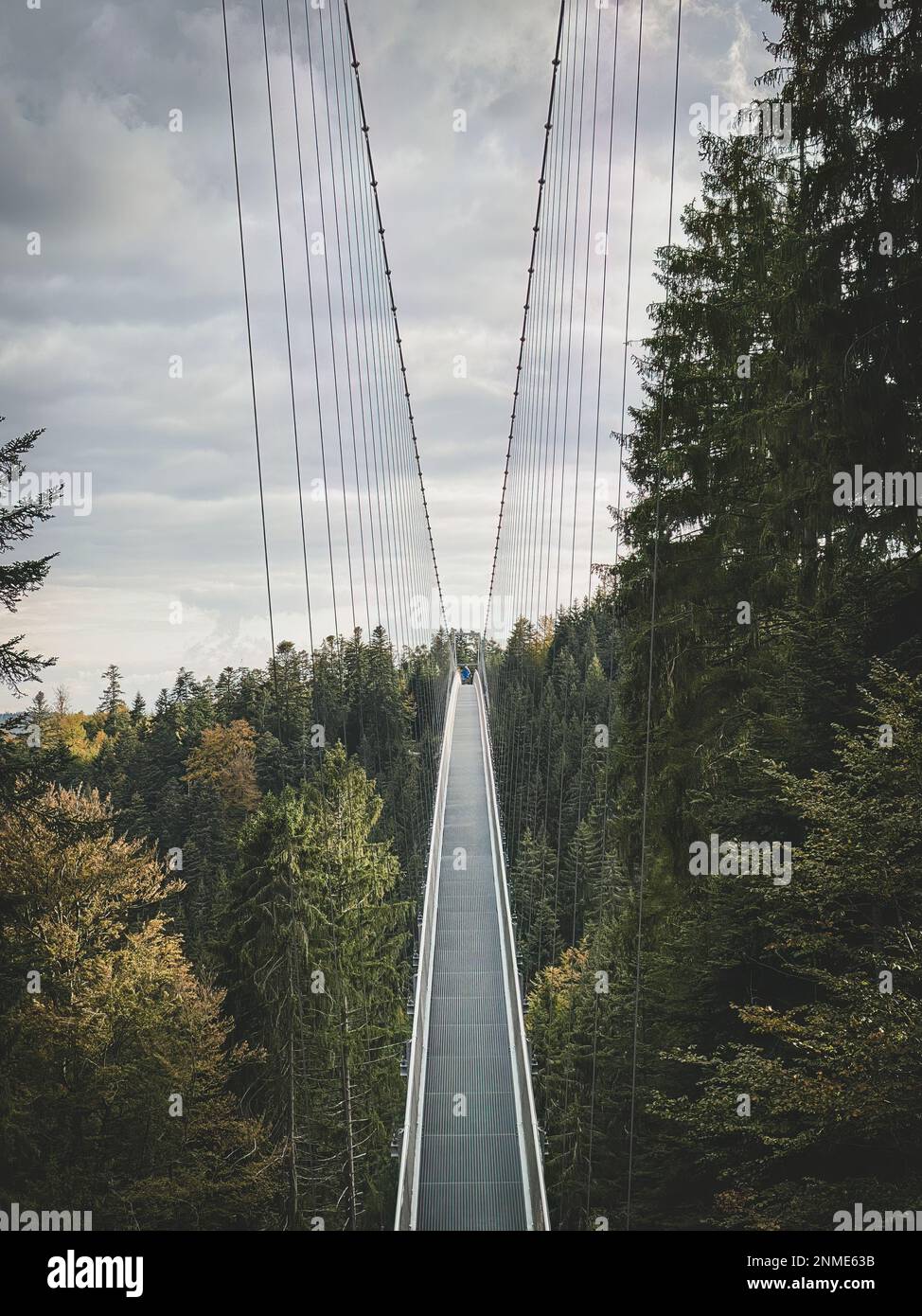 Bad Wildbad, Allemagne - 13 octobre 2020: Pont suspendu Wildline Banque D'Images