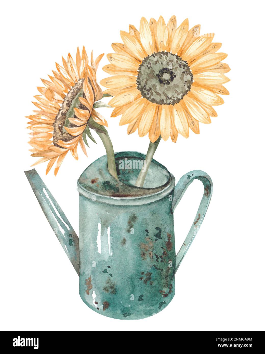 Tournesols d'automne dans un arrosoir de jardin. Illustrations d'aquarelle d'automne avec feuilles et fleurs en décoloration, éléments d'automne pour le design. Banque D'Images