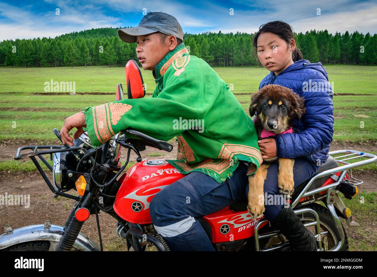 Les enfants trouvent enfin leur bébé chien. Province de Bulgan, Mongolie Banque D'Images