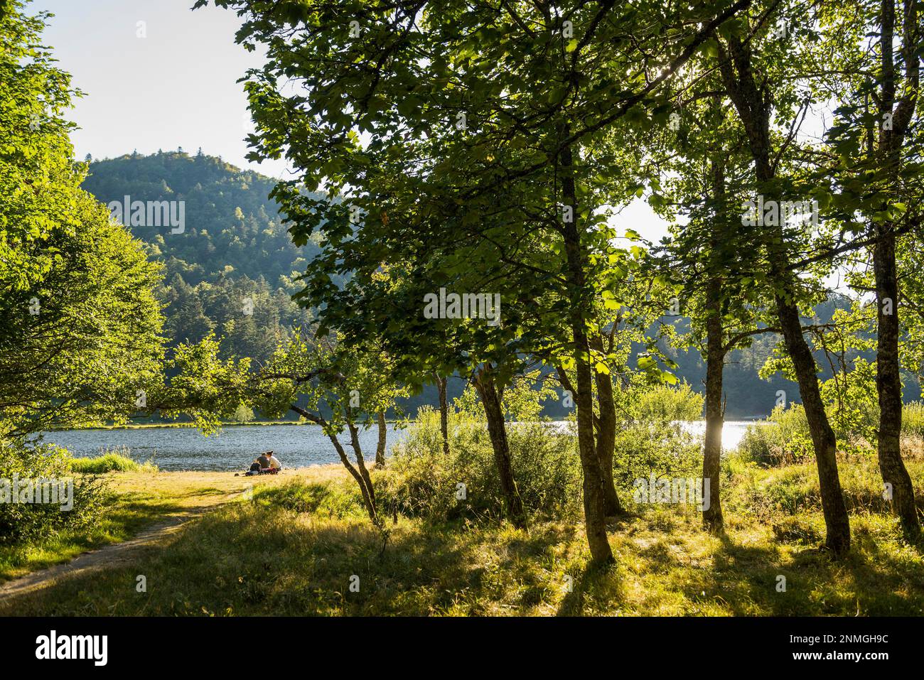 Lac de montagne en été, Lac de Blanchemer, à Hohneck, la Bresse, Vosges,  Région du Grand-est, Alsace-Lorraine, Vosges et Haut-Rhin, France Photo  Stock - Alamy