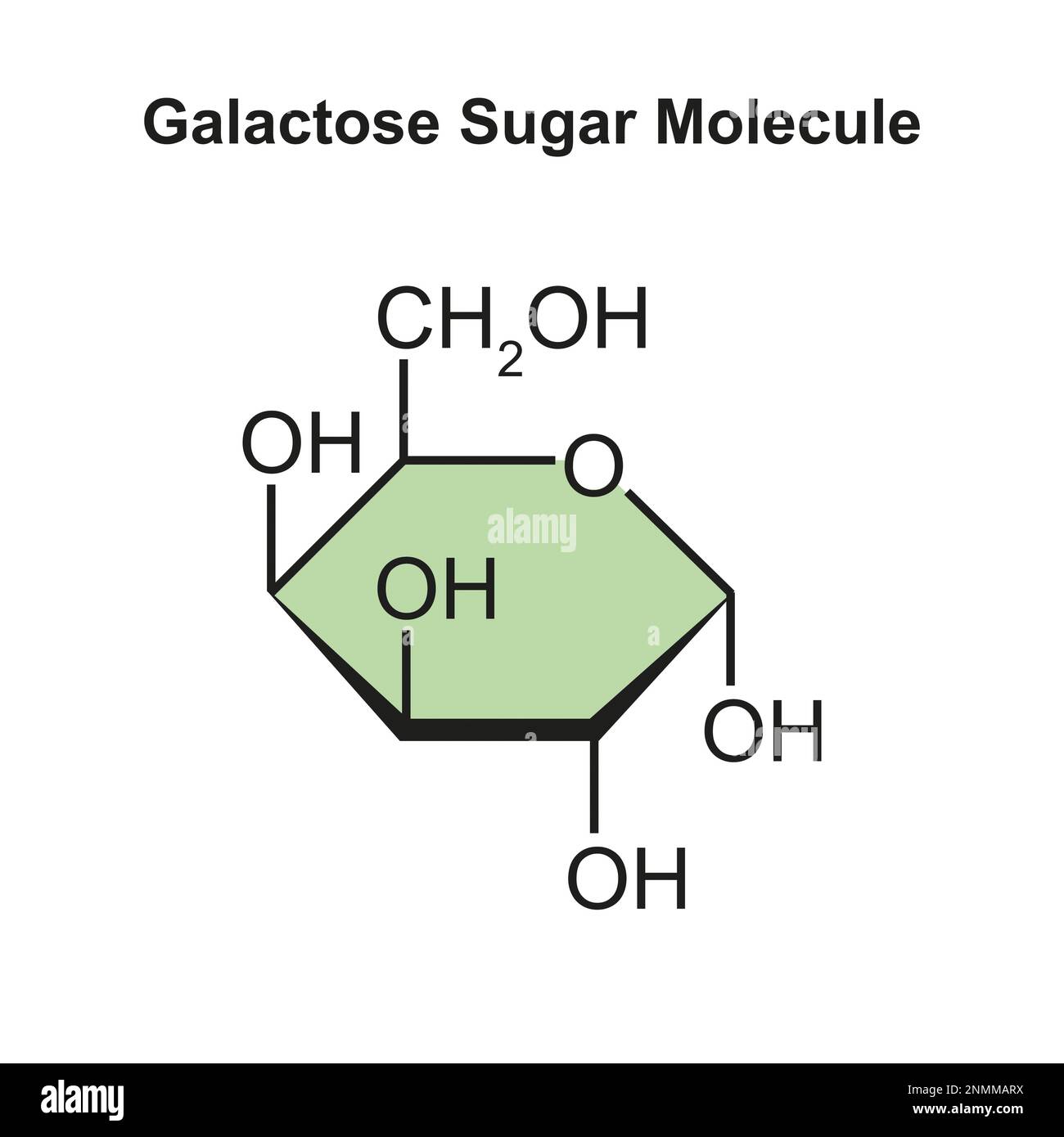Molécule de sucre galactose, illustration Banque D'Images