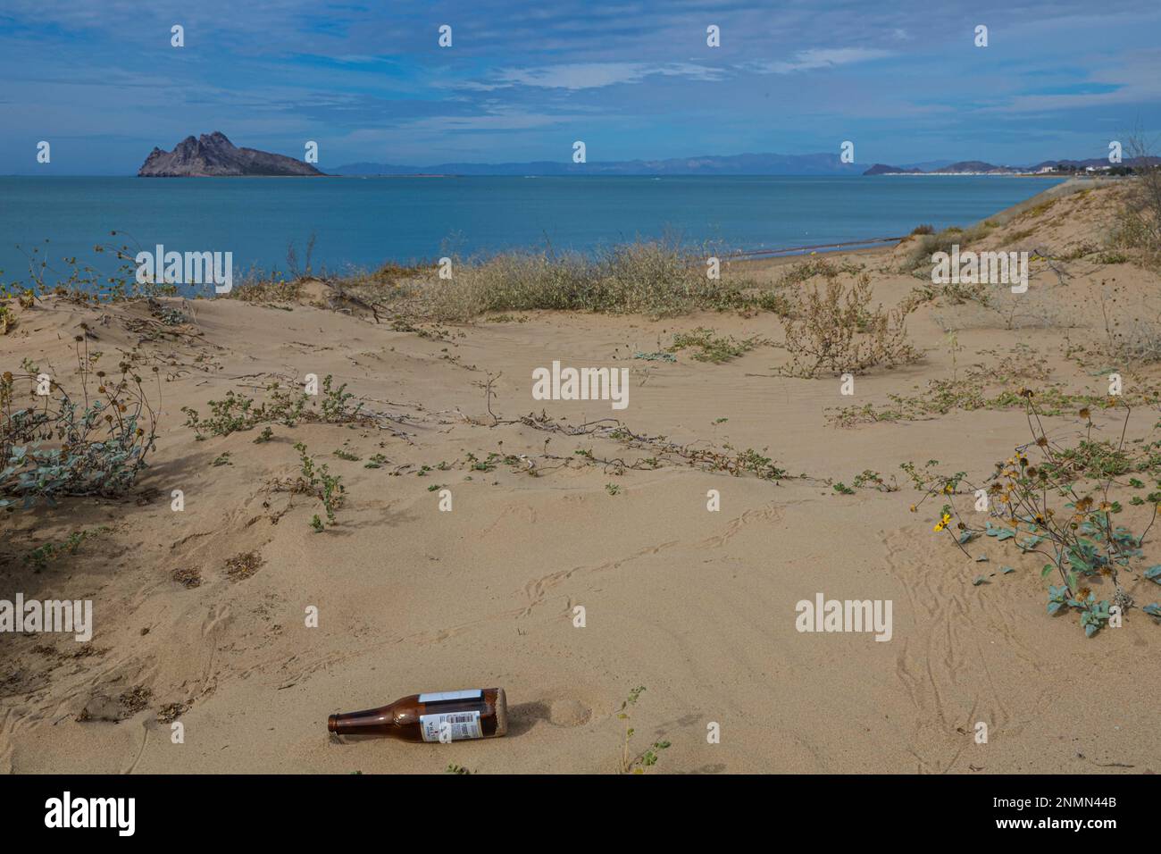 Déchets de bouteilles de verre Michelob bière ultra légère sur la plage de Kino Bay en arrière-plan vous pouvez voir l'île d'Alcatraz (photo : Luis Gutierrez / NortePhoto.com) basura de botellas de vidrio Michelob Ultra cerveza ligera en la playa d ela bahia de Kino en el fonde se mira la Isla Alcatraz (photo: Luis Gutierrez / NortePhoto.com) Banque D'Images