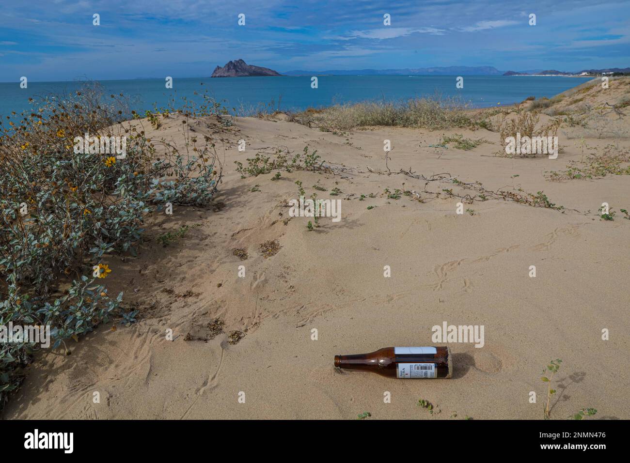 Déchets de bouteilles de verre Michelob bière ultra légère sur la plage de Kino Bay en arrière-plan vous pouvez voir l'île d'Alcatraz (photo : Luis Gutierrez / NortePhoto.com) basura de botellas de vidrio Michelob Ultra cerveza ligera en la playa d ela bahia de Kino en el fonde se mira la Isla Alcatraz (photo: Luis Gutierrez / NortePhoto.com) Banque D'Images