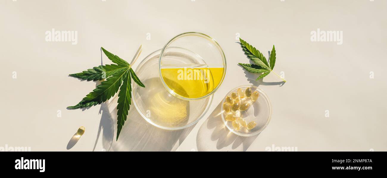 Feuilles de chanvre, huile de CBD et capsules de cannabidiol, fond cosmétique naturel Banque D'Images