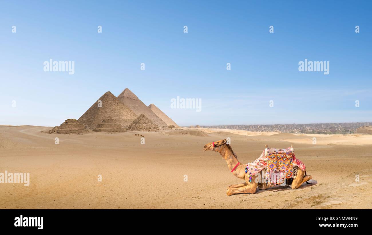 Vue sur les pyramides de Gizeh, Égypte Banque D'Images