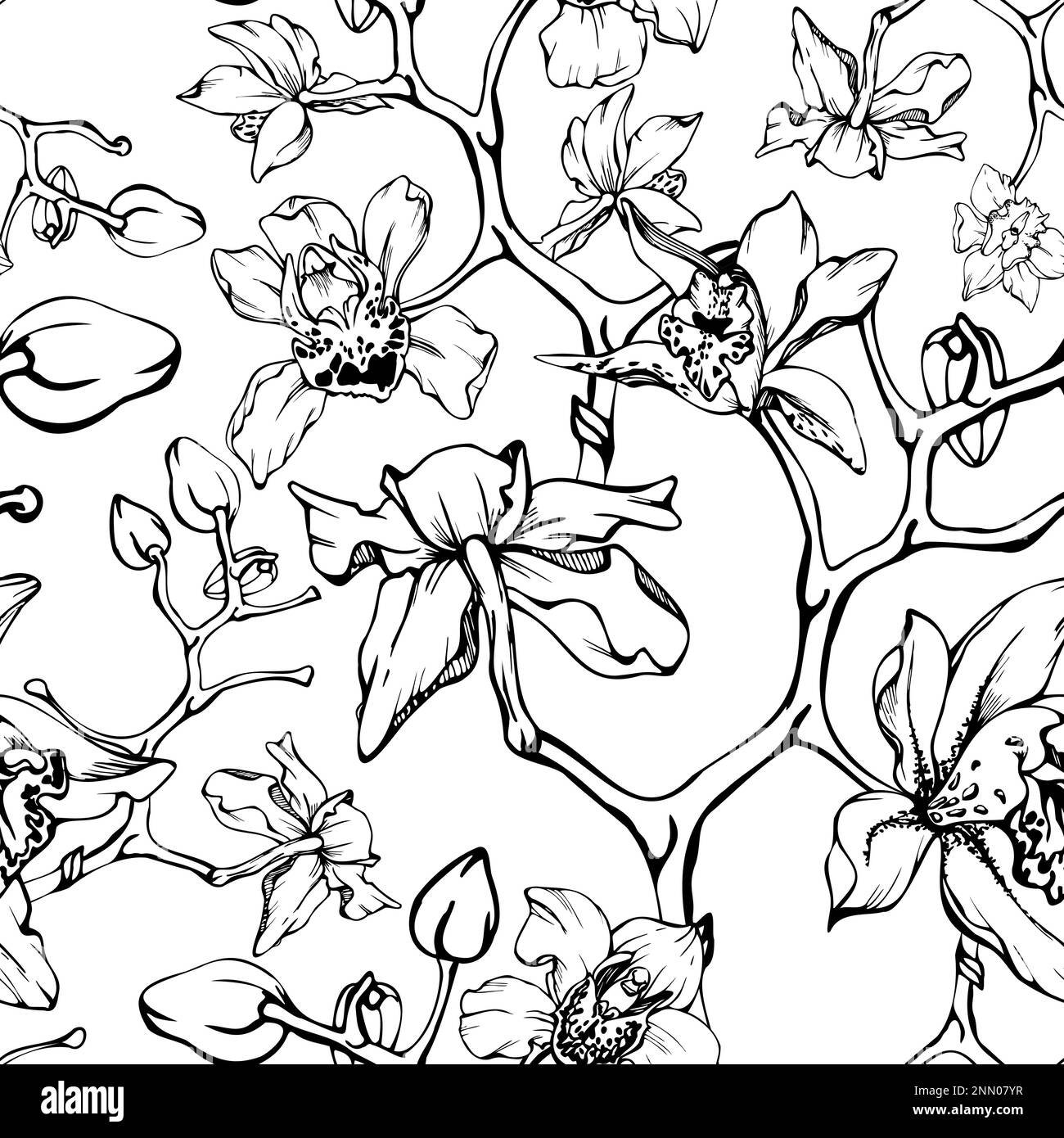 Fleurs et branches d'orchidées à encre vectorielle dessinées à la main, monochrome, contour détaillé. Motif sans couture avec formes en cristal. Isolé sur fond blanc Illustration de Vecteur