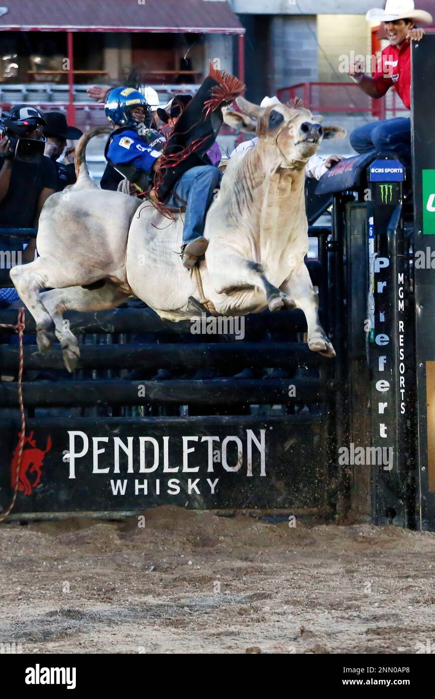 CHEYENNE, WY - JULY 27: Kaique Pacheco rides Ridin Solo during the Professional Bull Riders Last Cowboy Standing on July 27, 2021, at the Cheyenne Frontier Days, Cheyenne, WY. (Photo by Chris Elise/Icon Sportswire) (Icon Sportswire via AP Images) Banque D'Images