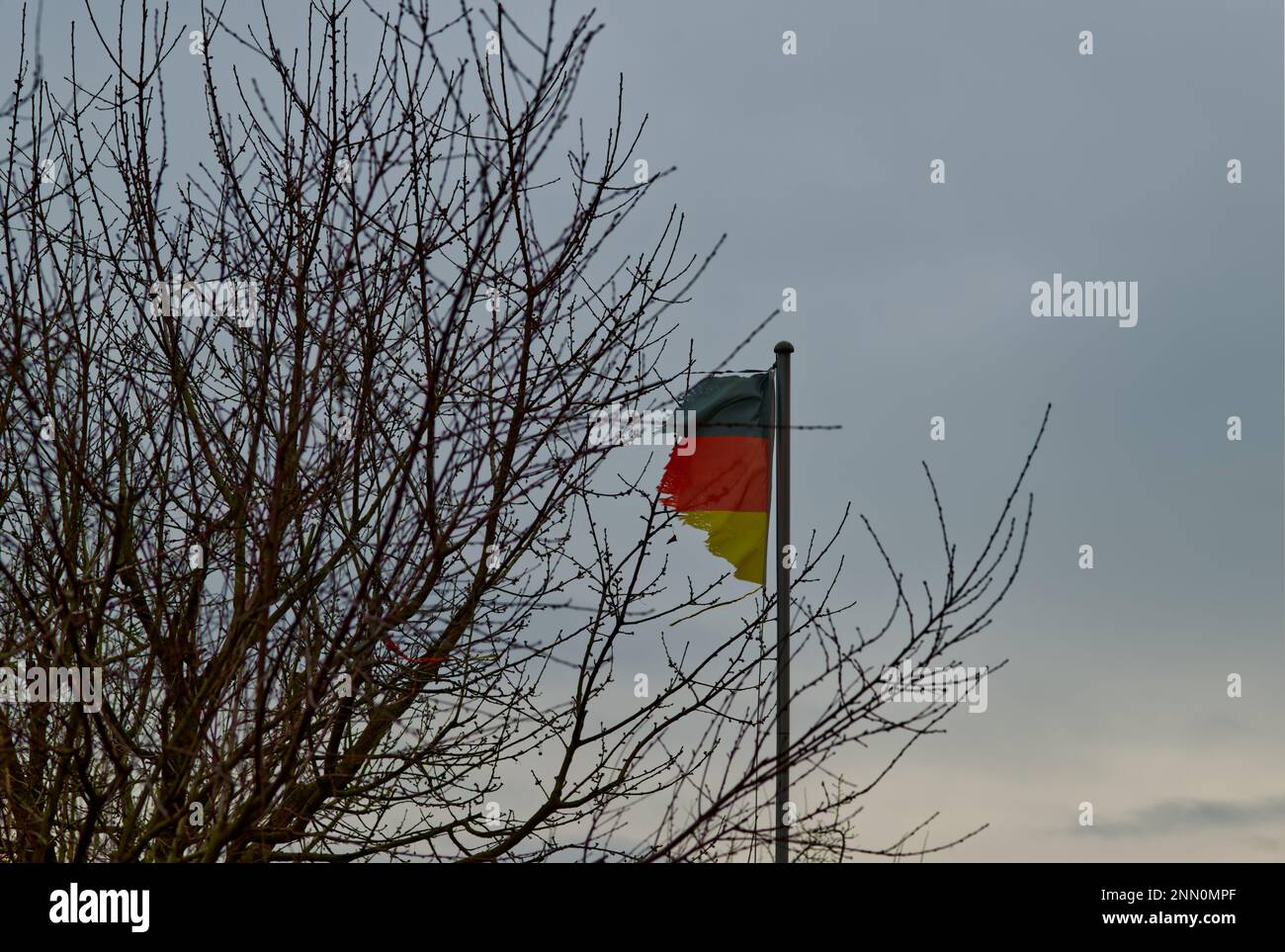 Un drapeau allemand avec des bandes noires, rouges et dorées, effilochées et déchirées par le vent et le sommet d'un arbre sans feuilles sur la droite et un ciel gris monotone Banque D'Images