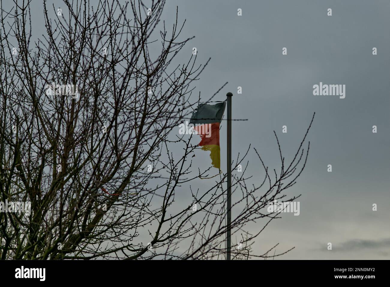 Un drapeau allemand avec des bandes noires, rouges et dorées, effilochées et déchirées par le vent et le sommet d'un arbre sans feuilles sur la droite et un ciel gris monotone Banque D'Images