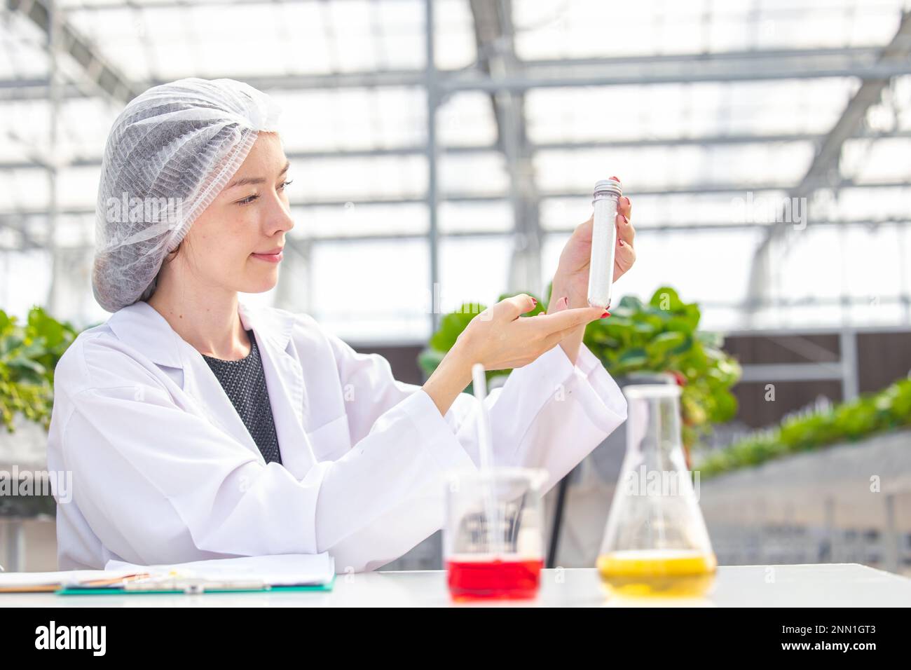 scientifique travaillant dans l'agriculture biologique recherche agricole nouvelle formule chimique extrait de la plante pour le concept médical. Banque D'Images
