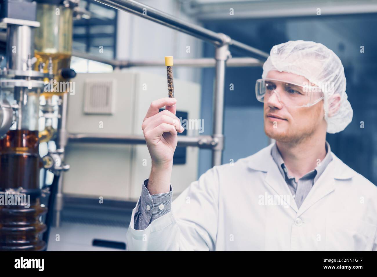 Scientifique homme travaillant l'extraction d'huile de cannabis CBD pour le laboratoire des sciences médicales. Extraction de l'huile de chanvre machine de distillation à couches minces dans les usines de laboratoire Pro Banque D'Images