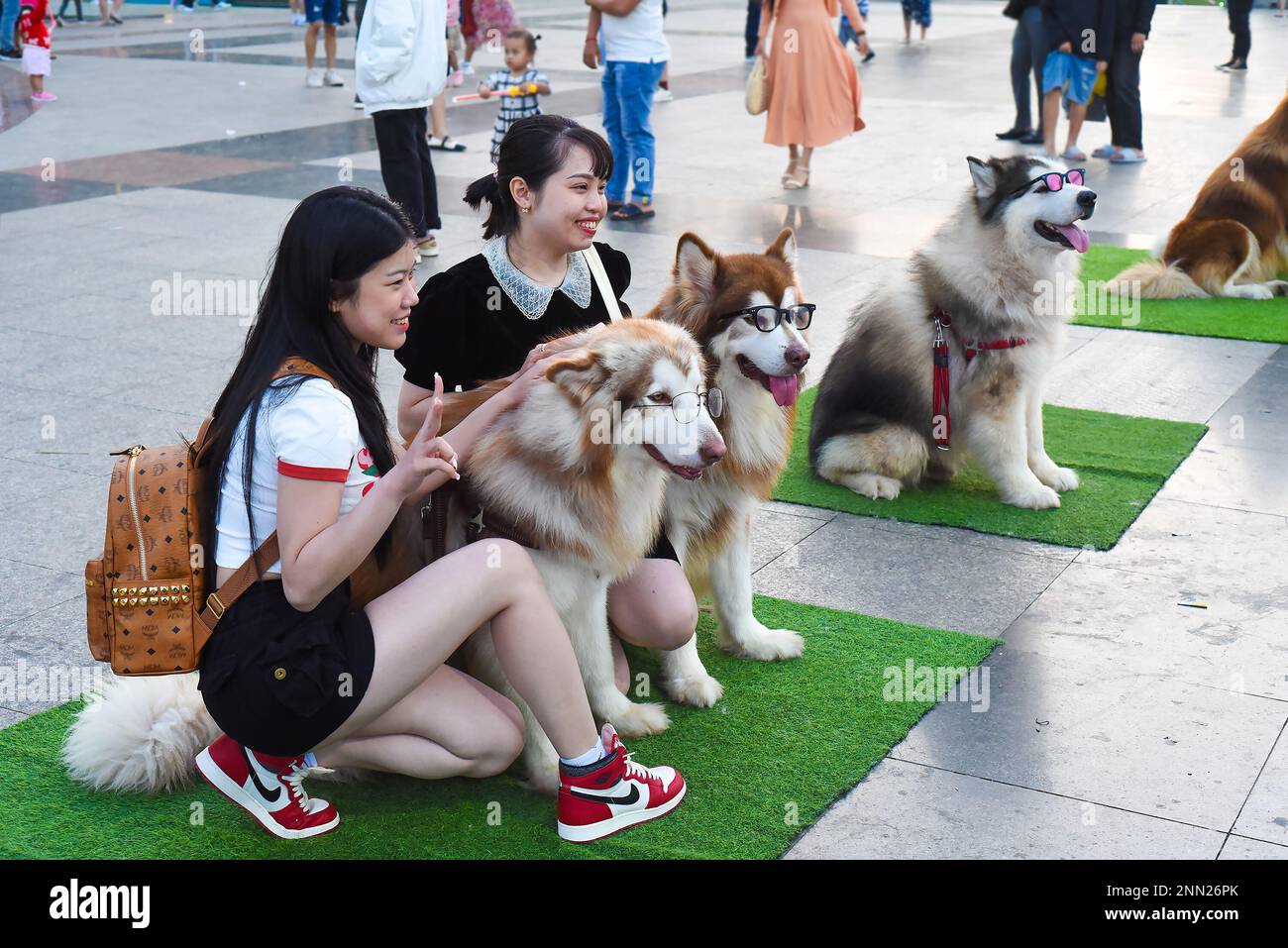 Da Lat, Vietnam - 10 février 2023 : modèles populaires de chiens en lunettes assis sur la place Lam Vien tous les jours pour la photographie Banque D'Images
