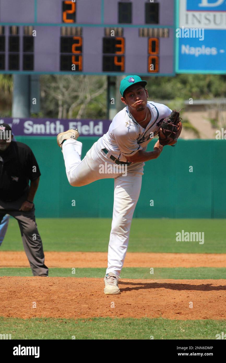 Florida Southwestern pitcher Antonio Knowles (7) during a game against State College of Florida on April 24, 2021 at City of Palms Park in Fort Myers, Florida. (Bryan Green/Four Seam Images via AP) Banque D'Images