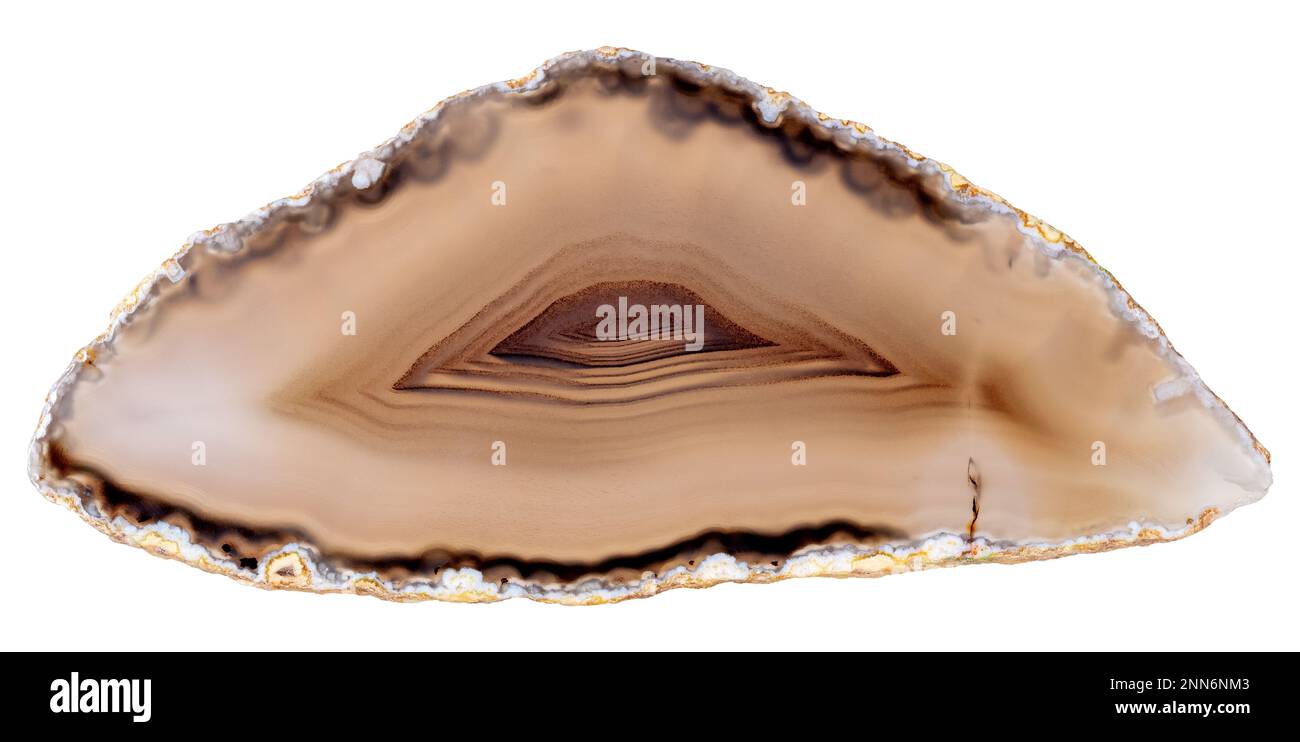 Incroyable section de cristal d'agate marron du Brésil avec rétroéclairage isolé sur fond blanc. Surface en cristal d'agate translucide naturel, abstrait Banque D'Images