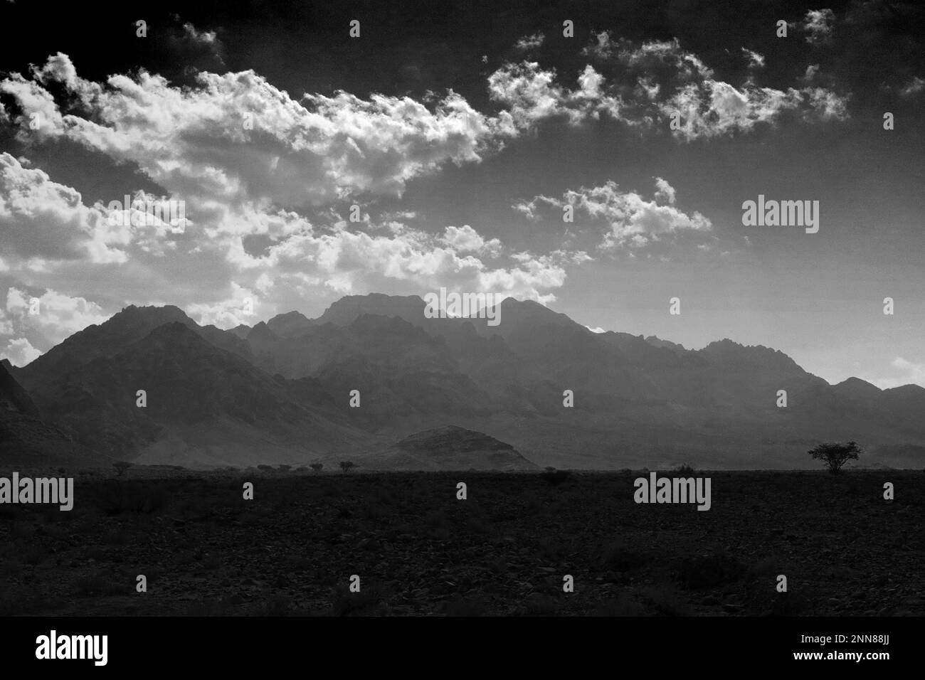 Vue sur le paysage rocheux de Hamada à Wadi Feynan, Al-Shalat, désert de Wadi Araba, centre-sud de la Jordanie, Moyen-Orient. Banque D'Images