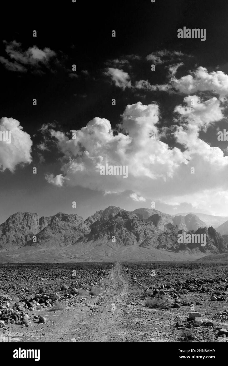 Vue sur le paysage rocheux de Hamada à Wadi Feynan, Al-Shalat, désert de Wadi Araba, centre-sud de la Jordanie, Moyen-Orient. Banque D'Images