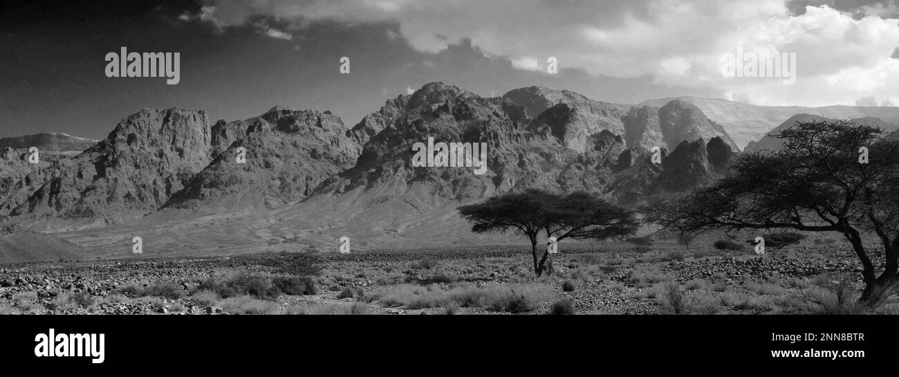 Vue sur le paysage rocheux de Hamada à Wadi Feynan, Al-Shalat, désert de Wadi Araba, centre-sud de la Jordanie, Moyen-Orient. Banque D'Images