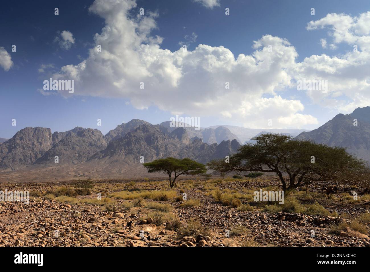 Vue sur le paysage rocheux de Hamada à Wadi Feynan, Al-Shalat, désert de Wadi Araba, centre-sud de la Jordanie, Moyen-Orient. Banque D'Images