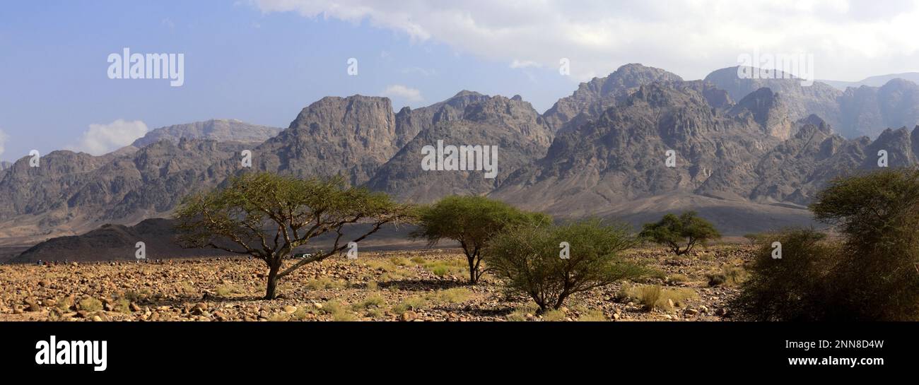 Vue sur le paysage rocheux de Hamada à Wadi Feynan, Al-Shalat, désert de Wadi Araba, centre-sud de la Jordanie, Moyen-Orient. Banque D'Images