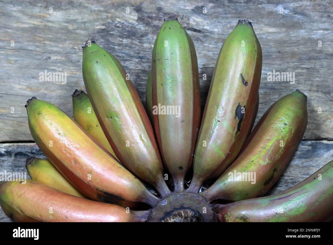 Un groupe de bananes fraîches et mûres dans des tons de vert et de brun, arrangée dans un tas Banque D'Images Un groupe de bananes fraîches et mûres dans des tons de vert et de brun, arrangée dans un tas Banque D'Images