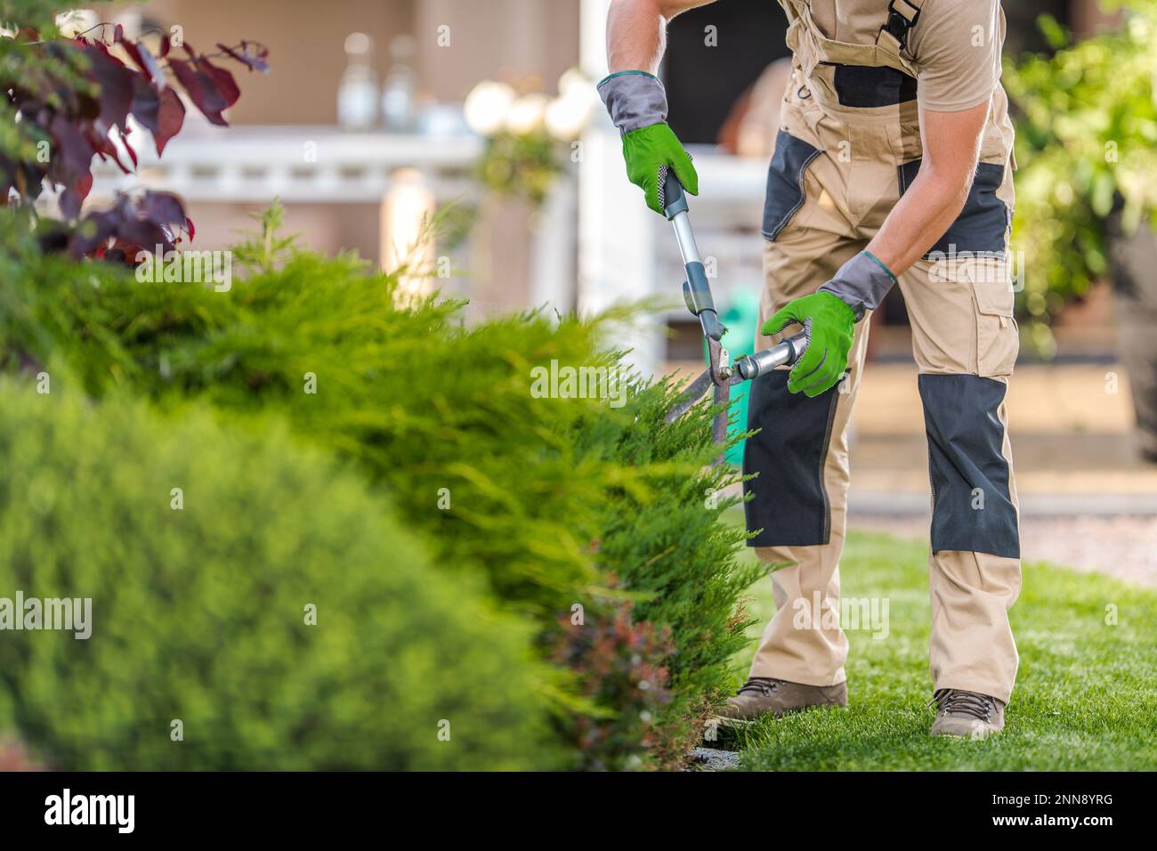 Vue de face gros plan d'un jardinier professionnel effectuant le fraisage  d'arbustes de jardin avec un outil de jardinage de taille-haies Photo Stock  - Alamy