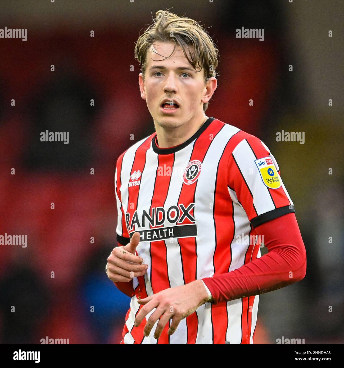 Sheffield, Royaume-Uni. 25th févr. 2023. Sander Berge #8 de Sheffield United pendant le match de championnat Sky Bet Sheffield United contre Watford à Bramall Lane, Sheffield, Royaume-Uni, 25th février 2023 (photo de Ben Roberts/News Images) à Sheffield, Royaume-Uni le 2/25/2023. (Photo de Ben Roberts/News Images/Sipa USA) crédit: SIPA USA/Alay Live News Banque D'Images