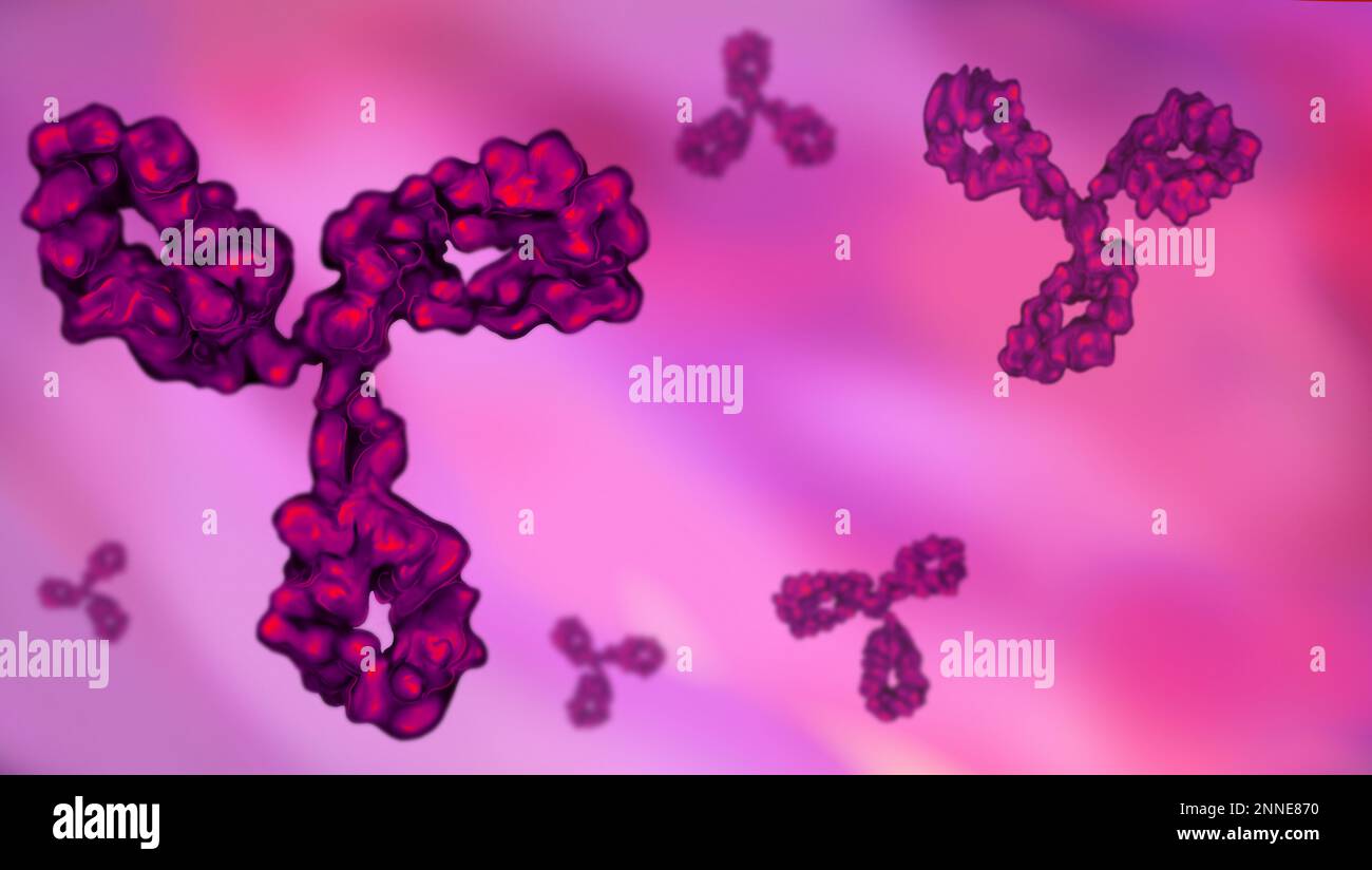 les anticorps qui flottent dans le plasma humain neutralisent les bactéries et les virus pathogènes Banque D'Images