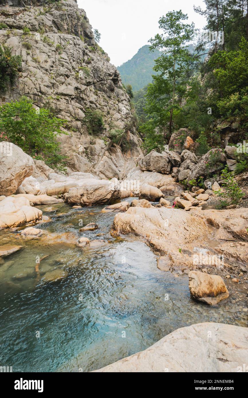 Arbres et pierres dans la rivière dans le canyon Goynuk. Pistes de montagne dans le parc national côtier de Beydaglari. Turquie. Banque D'Images