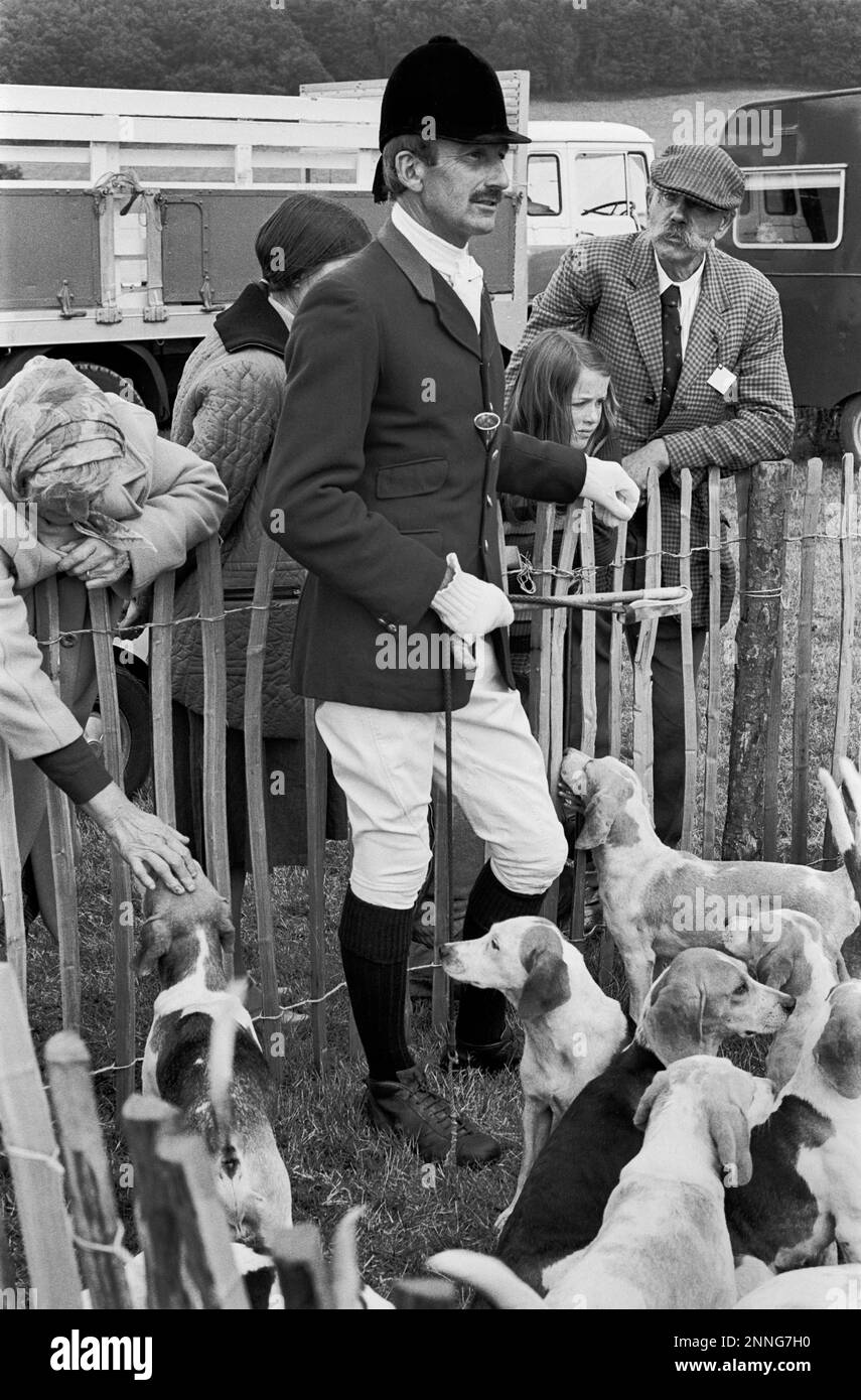 Huntsman avec des renards au salon agricole d'Usk, pays de Galles du Sud, 1976 Banque D'Images
