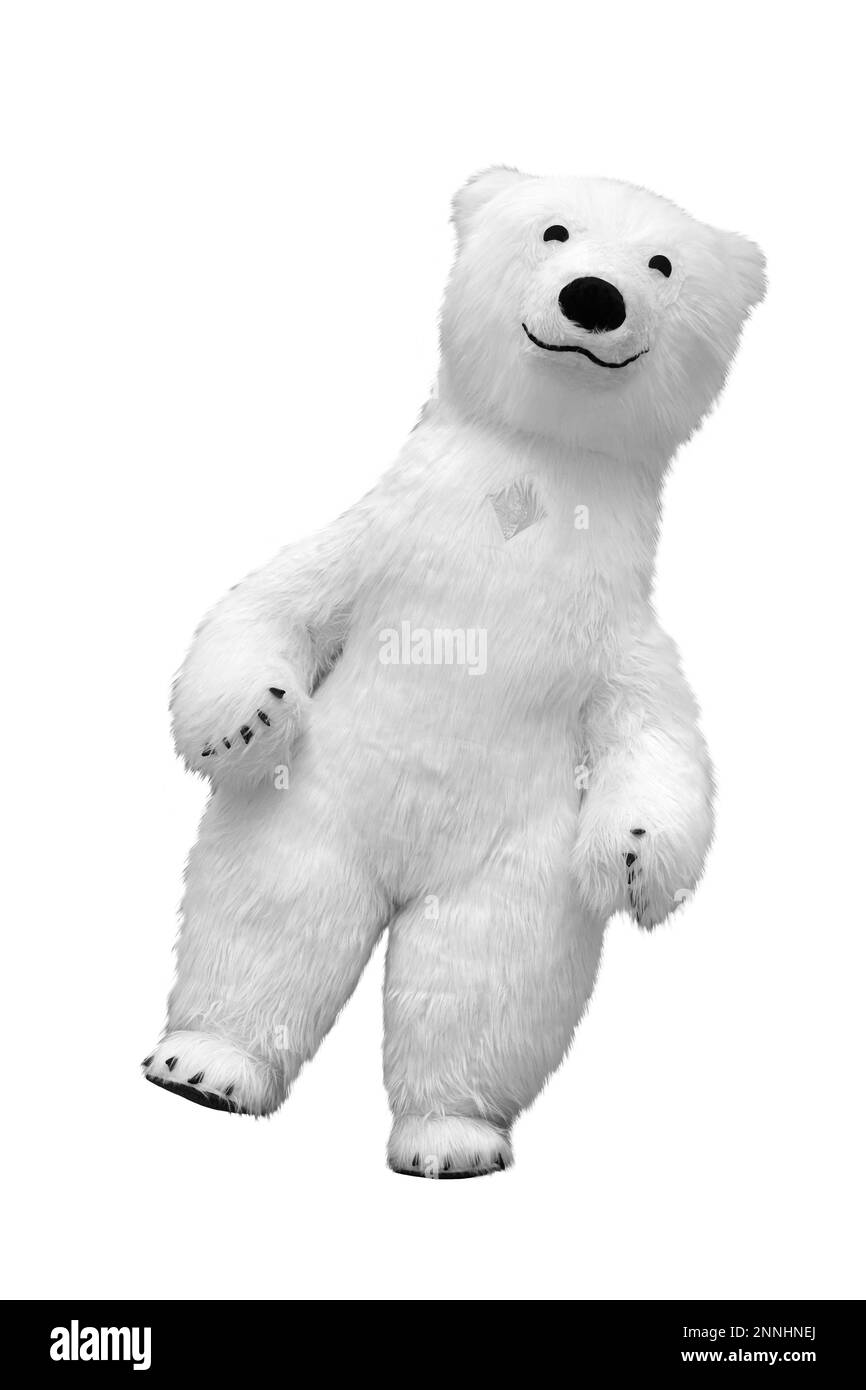 Grand ours blanc polaire isolé sur fond blanc. Marionnette de taille réelle en fourrure. Banque D'Images