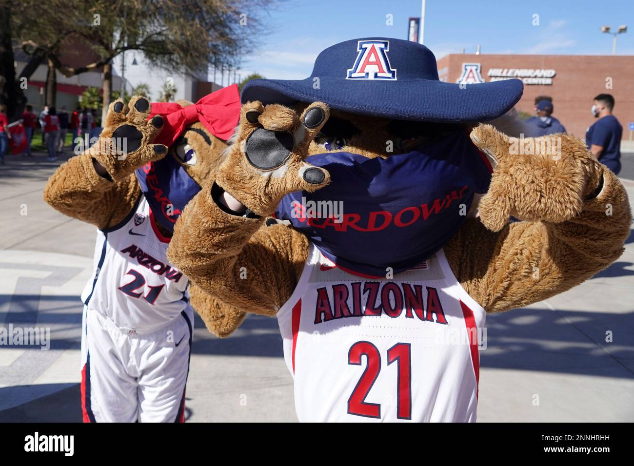 Arizona Wildcats mascots Wilbur and Wilma greet the women's basketball ...