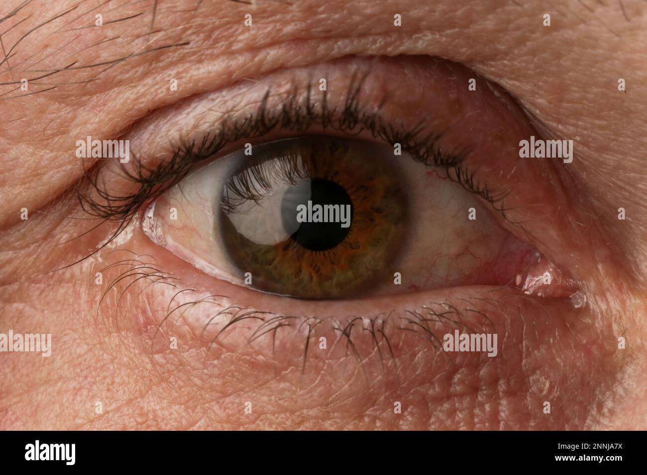 Gros plan de l'œil d'un homme âgé, en regardant la caméra Banque D'Images