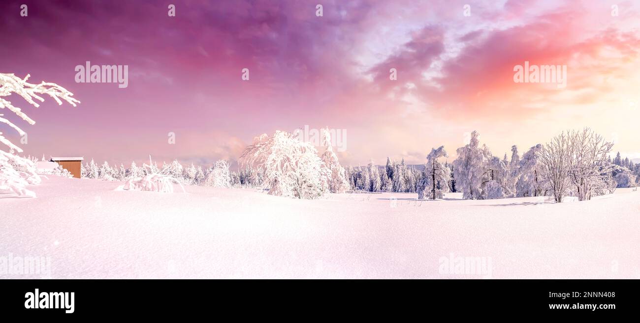 Paysage d'hiver, Fichtelberg, Erzgebirge, Saxe, Allemagne Banque D'Images